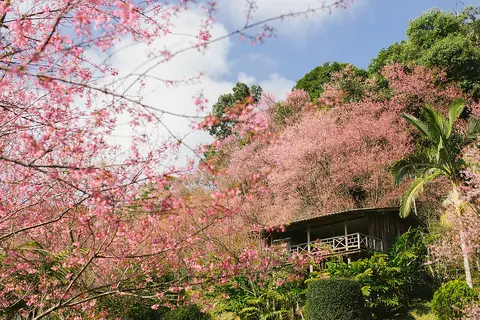 บ้านขุนช่างเคี่ยน จังหวัดเชียงใหม่