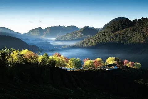 ดอยอ่างขาง จังหวัดเชียงใหม่
