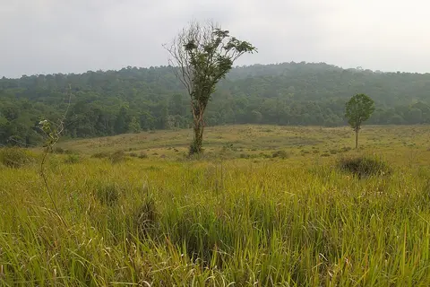 อุทยานแห่งชาติเขาใหญ่ จังหวัดนครราชสีมา