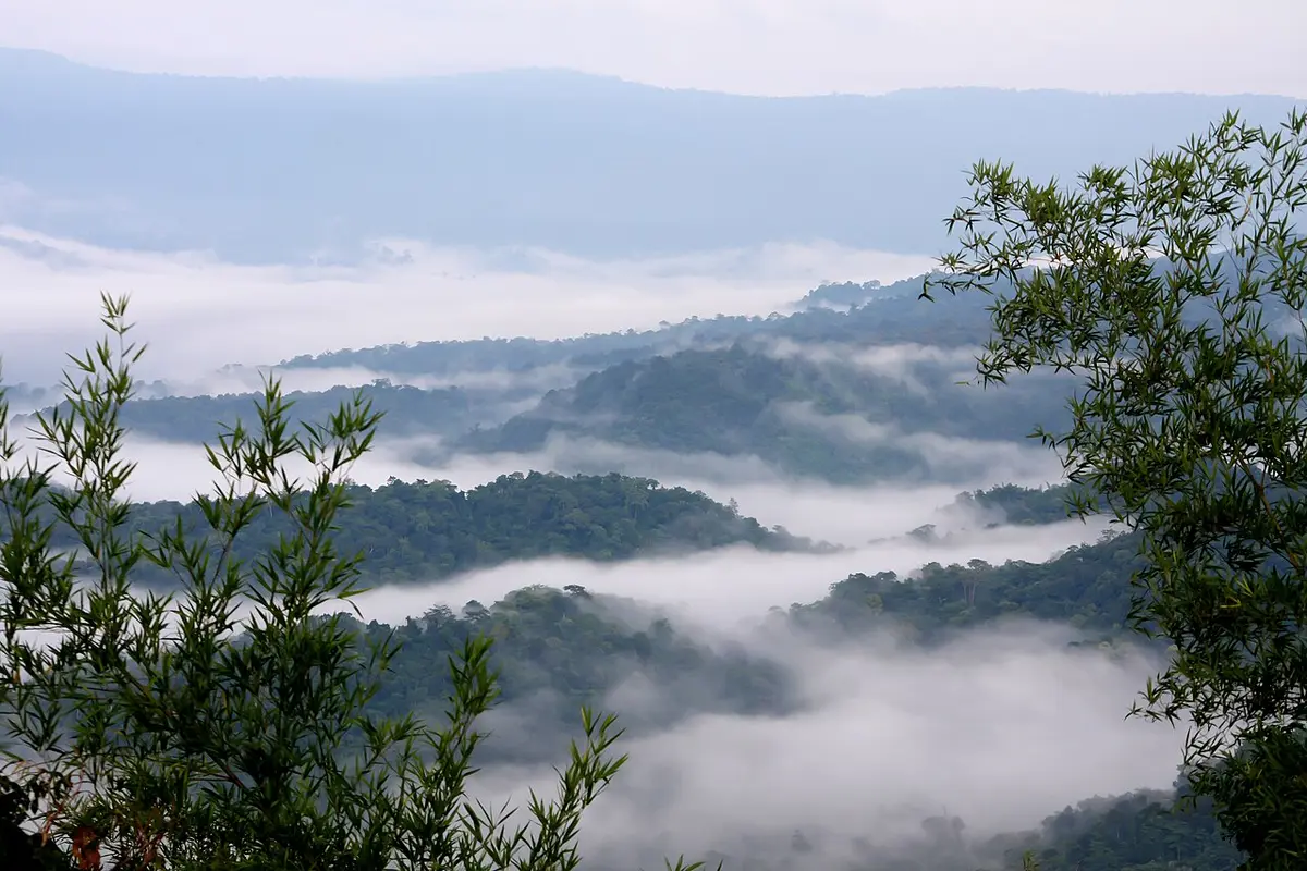 อุทยานแห่งชาติทับลาน (ผาเก็บตะวัน) จังหวัดปราจีนบุรี