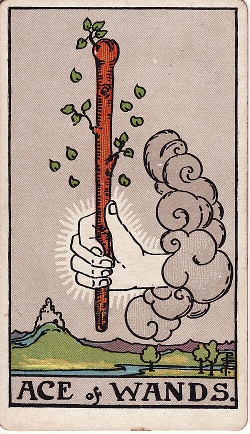ไพ่ Ace of Wands (เอซไม้เท้า)