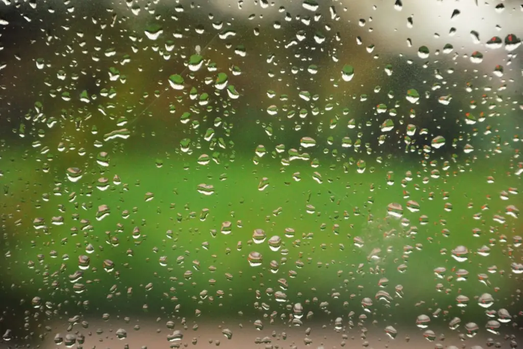ฝนตกฉ่ำ ความหมายดั้งเดิมของคำว่าฉ่ำ