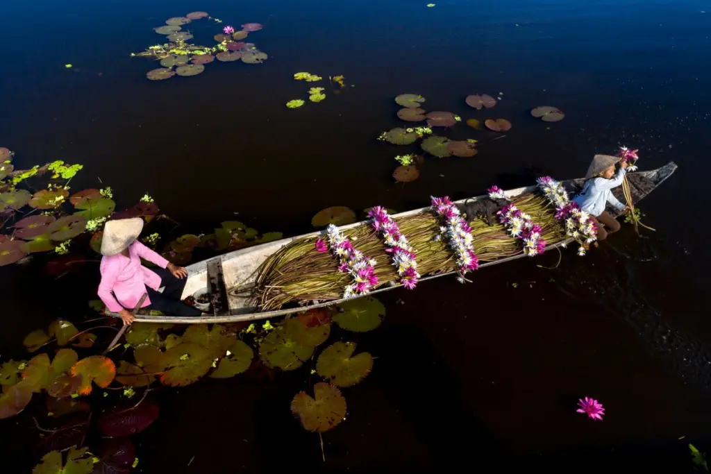 นั่งเรือชมบัวแดงช่วงเช้าก่อนแดดแรง
